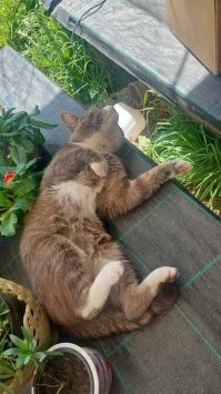 Мой балбес  ))