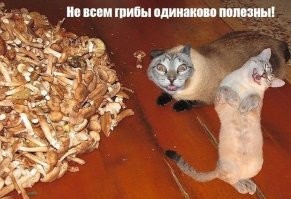 От улыбки лопнула щека