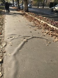 Асфальт? Скорее всего кто то откатил себе в карман и выложил рубероид или герметик для изоляции крыши.