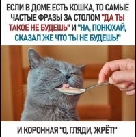 У нас кошаки не выепываются и за столом едят все