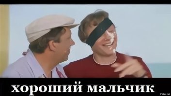 Пёс принёс хозяину осиное гнездо