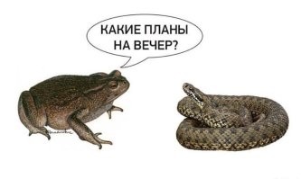 Николай Басков поссорился с Бузовой, пошутив над её нарядом и назвав козой