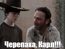 Каким же тормозом надо быть, чтобы от тебя сбежала черепаха!...)