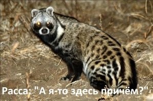 Технарь из Индии собрал самодельный навигационный радар