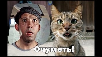 Политический мониторинг (360)
