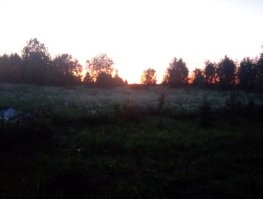 Тем временем на улице в час ночи: