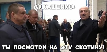 Не ищите здесь смысл. Здесь в основном маразм
