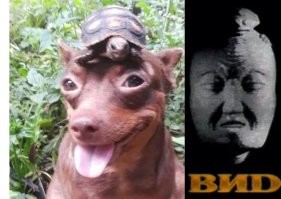 Намешалось