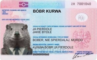 Не ищите здесь смысл. Здесь в основном маразм