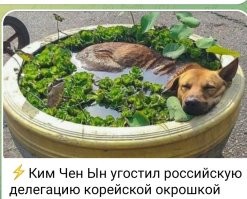 Автор, вот это как пониматьтвою? Сарказм, стеб, юмор? Или ты так хочешь унизить президентов обеих стран?