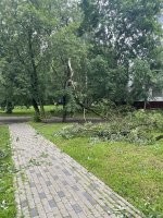 Ураган «Эдгар» пришёл в Москву: ветер гнёт рекламные щиты и валит деревья