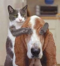 Как слепая аквалангистка исследует тропические воды