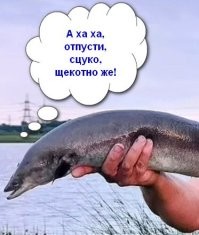 Побил 46-летний рекорд: рыбак благодаря невероятному улову прославился на всю страну