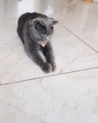 А куда шов делся??