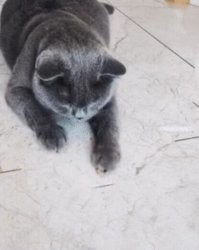 А куда шов делся??