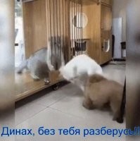 Просто гифки, всякие и&nbsp;разные