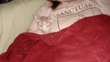 20 бесстыдных питомцев, которые украли пару у своего владельца