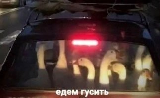 На общую тему&nbsp;