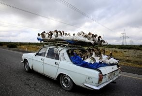 На общую тему&nbsp;