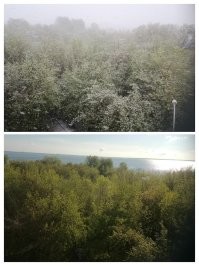 Это не шутка, вот вам пример:
10.05.2024 Челябинск, Северо-восток между фото 30 мин!