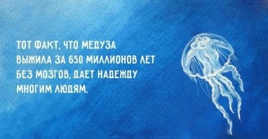«Звездные люди» ставят под сомнение эволюцию человека