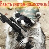 Подарок Геринга: еноты захватили Германию