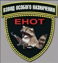 Подарок Геринга: еноты захватили Германию