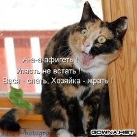 Любопытство – не порок, а способ получения информации