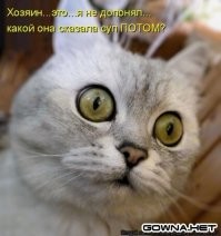 Любопытство – не порок, а способ получения информации