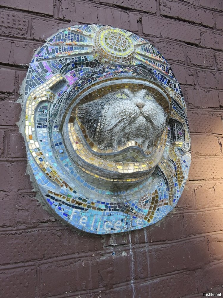 Лайка    собака-космонавт, первое животное, выведенное на орбиту Земли. Была запущена в космос 3 ноября 1957 года в половине шестого утра по московскому времени на советском корабле «Спутник-2». 

Запуск кошки осуществил 18 октября 1963 года французский Учебный и научно-исследовательский центр авиационной медицины. Ракета-носитель Véronique AG1[фр.] стартовала с космодрома Хаммагир и менее чем за 15 минут поднялась на высоту 160 км. Здесь произошло отделение капсулы с кошкой. Затем капсула на парашюте опустилась на землю, где была найдена поисковой командой...