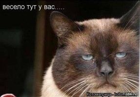 На видео сняли фундаментальное отличие девочек от мальчиков