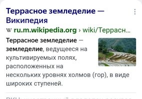 Сад камней? Для выращивания еды?