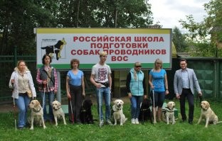 Официальное название "собака-проводник", так что всё правильно. Более того, де-юре, она вообще не является собакой. Это "техническое средство реабилитации", поэтому никакие правила, касающиеся собак, на проводника слепого не распространяются. С такой собакой передвигаться можно везде и бесплатно.