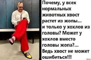 Кстати, про хвост на голове...