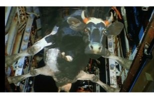 Авиация в помощь. ;)