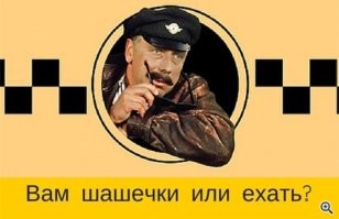 В РЖД рассказали о новых правилах перевозки животных