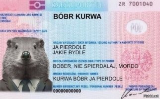 Не ищите здесь смысл. Здесь в основном маразм