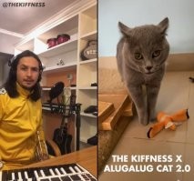 Ждем выход нового сингла