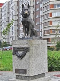 Неразрывная связь: страны, города и их знаменитые псы