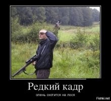 Демотиваторы дня: "А вы точно охотник на уток?" 