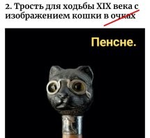 25 интересных и пугающих находок из музея диковинок