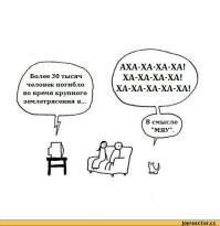 Кот разблокировал новый звук