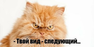А вдруг ты не знал…
