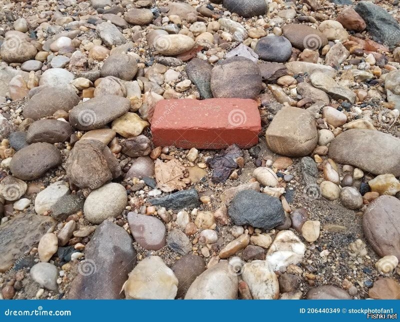Нашел сегодня на пляже странный прямоугольный камень. Что это может быть?