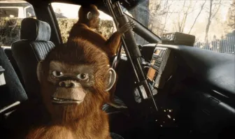 Стая обезьян сбежала из приюта и пыталась "захватить" отделение полиции