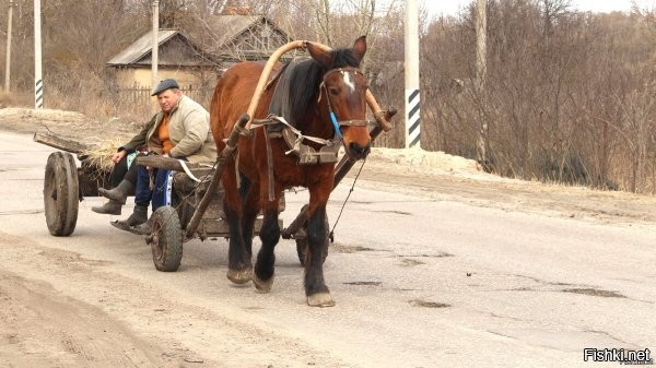 Богатеи из Форбс: