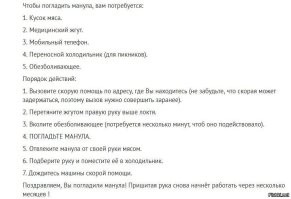 Пенсионерка приняла дикую рысь за собаку и приютила её у себя