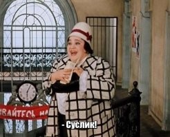 Туристка у Букингемского дворца стала жертвой лошади, но это не точно