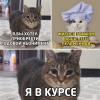 Скрины из соцсетей&nbsp;&nbsp;&nbsp;&nbsp;&nbsp;&nbsp;&nbsp;&nbsp;&nbsp;&nbsp;&nbsp;&nbsp;