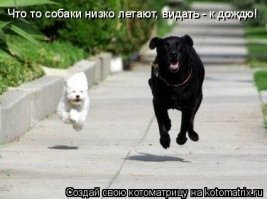 25 самых странных суеверий со всего мира